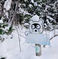 利尻島　森林公園の看板