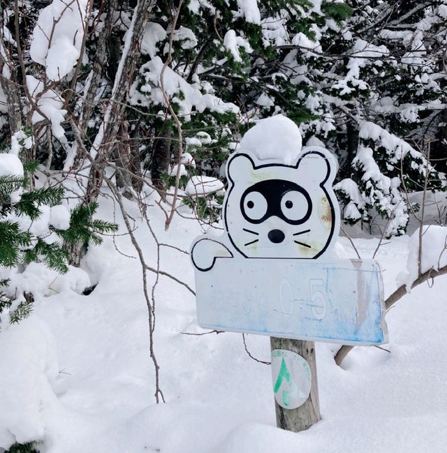 利尻島　森林公園の看板