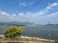 吐露港花園 近距離望吐露港