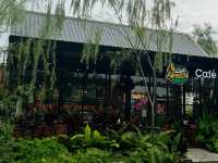 คาเฟ่อเมซอนปลวกแดง