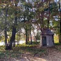 【広すぎる公園！】東京・立川の国営昭和記念公園を楽しむ