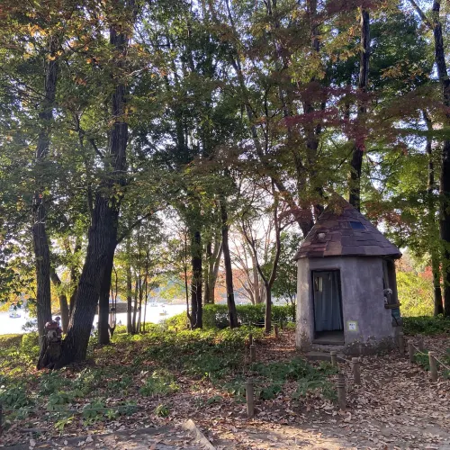 【広すぎる公園!】東京・立川の国営昭和記念公園を楽しむ