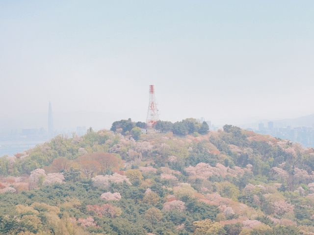 남산타워에서 서울 도심뷰 산책💗