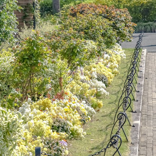 春の山下公園噴水付近