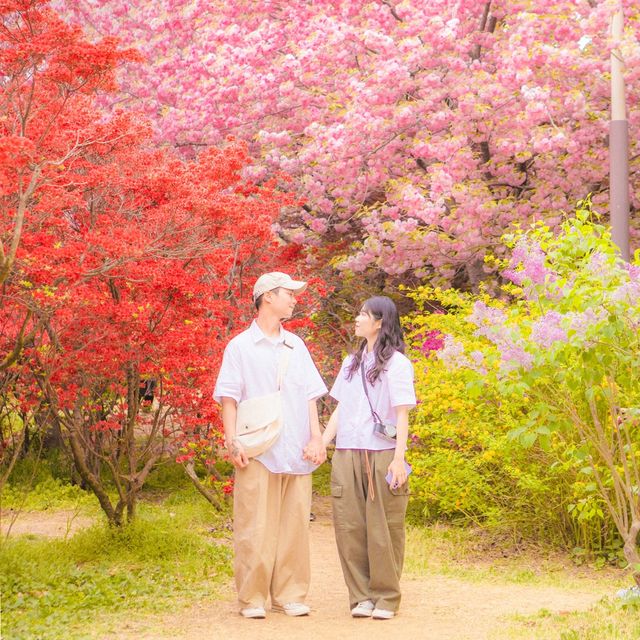 봄에 전주를 가야하는 이유🌸