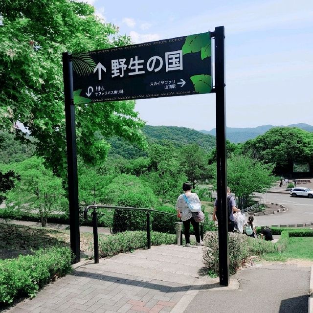 サファリパーク　EAT&Cafe ダニエル