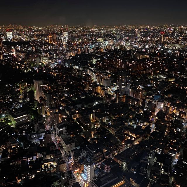 欣賞東京夜景🌃必去六本木展望台