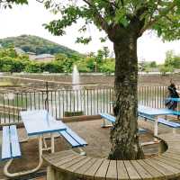 揚げたこ焼きが人気！京都市動物園テイクアウト専門店