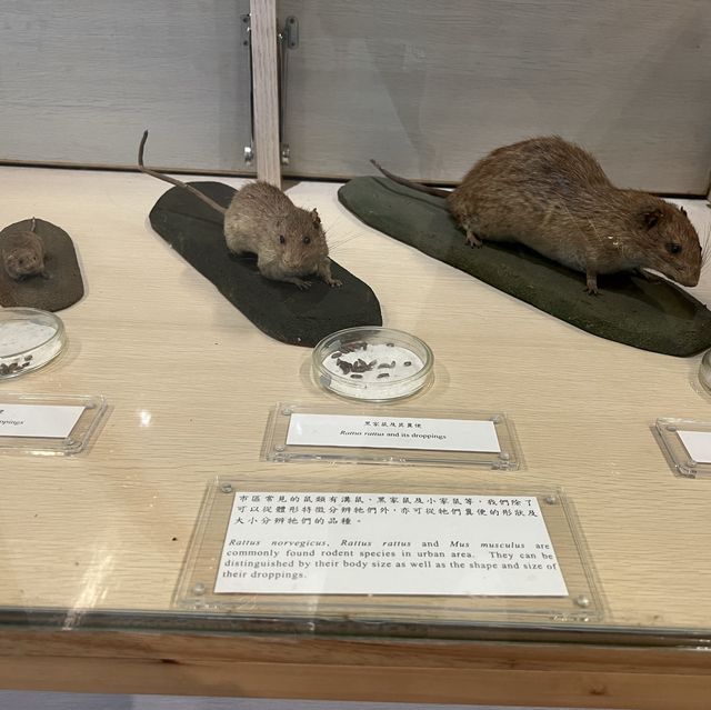 增加課外知識好去處～