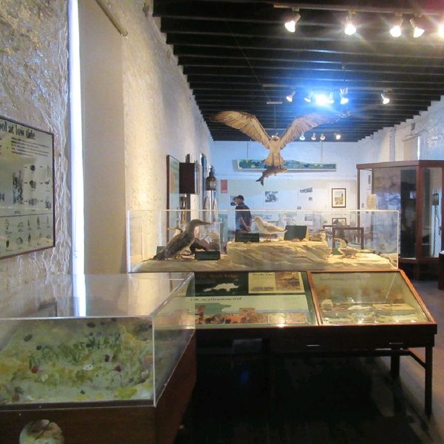 羅特尼斯島博物館