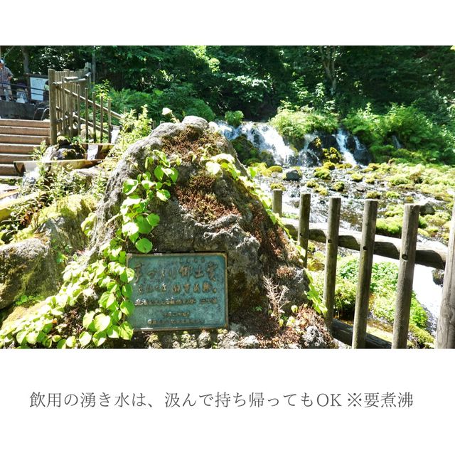 【北海道】名水百選の湧き水を汲める公園