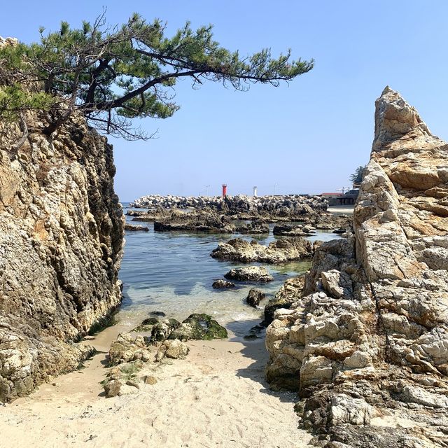 스노쿨링의 명소 “갈남항”