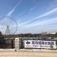 東京遊之水族館🤩🤩📸️