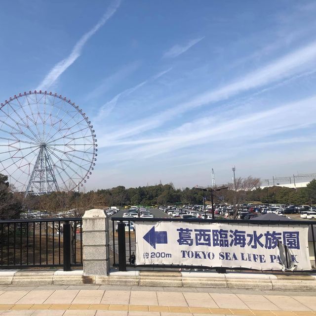 東京遊之水族館🤩🤩📸️