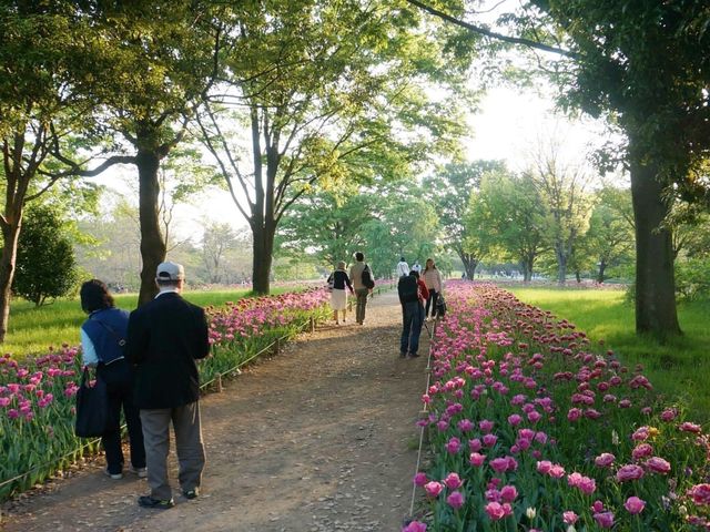 東京賞花好去處｜花卉節🤩🤩🌹🌺