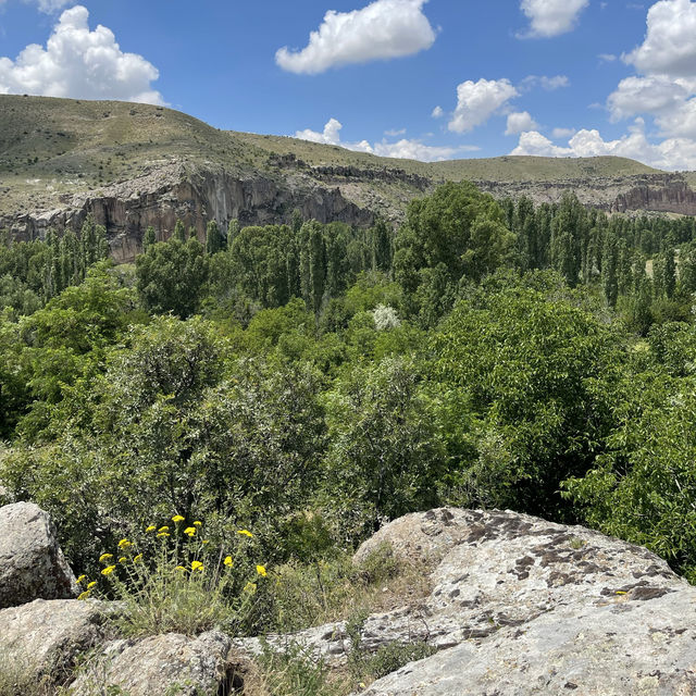 stunning with this place! ⛰💚