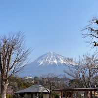 【静岡県】富士山をバックに富士山本宮浅間大社を参拝⛩