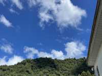 2022赤柯山 仙旅奇緣 金針花季