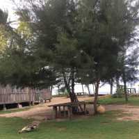 Beach of Whispering Breeze!