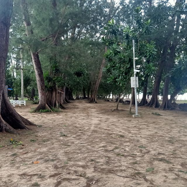 อุทยานแห่งชาติ หาดนพรัตน์ธารา-หมู่เกาะพีพี