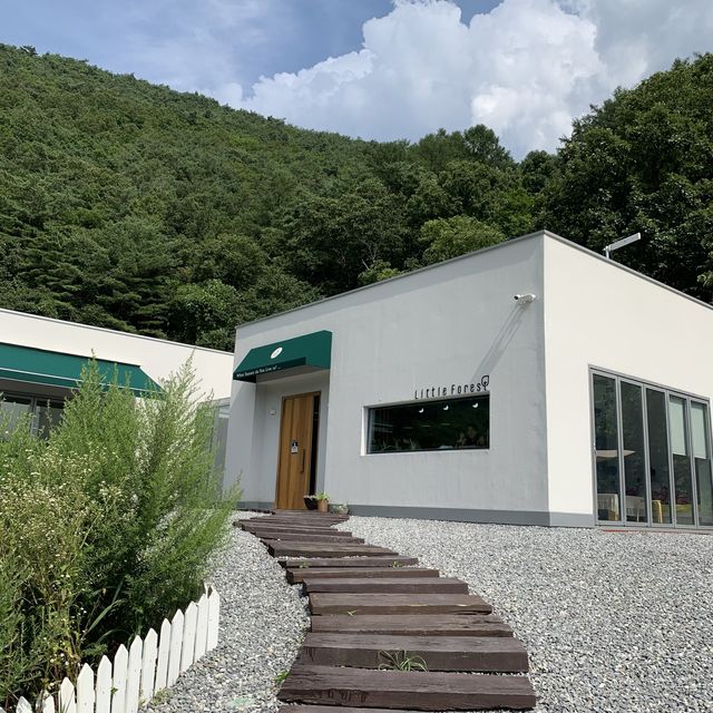맑은 공기와 마운틴 뷰 /충북 단양 리틀 포레스트
