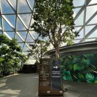 Good experience at Changi Airport 