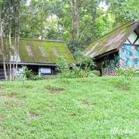 เล่นน้ำ at น้ำตก ณ “อุทยานแห่งชาติไทรโยค”