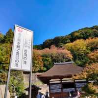 【京都 東山】音羽の滝