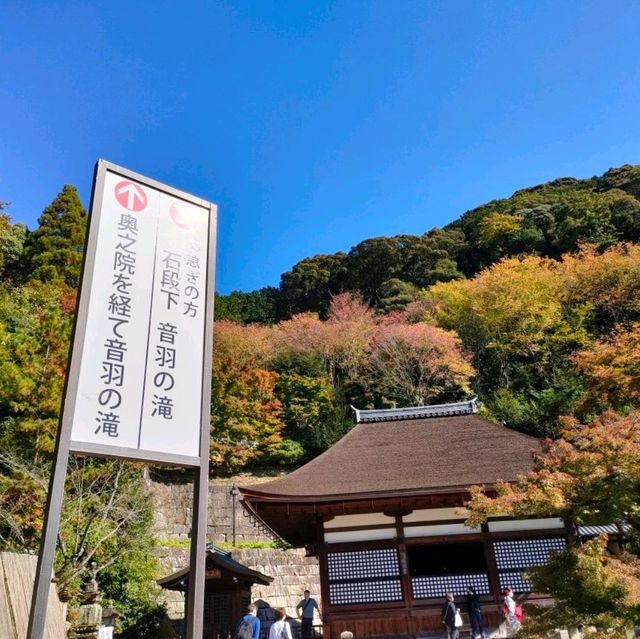 【京都 東山】音羽の滝
