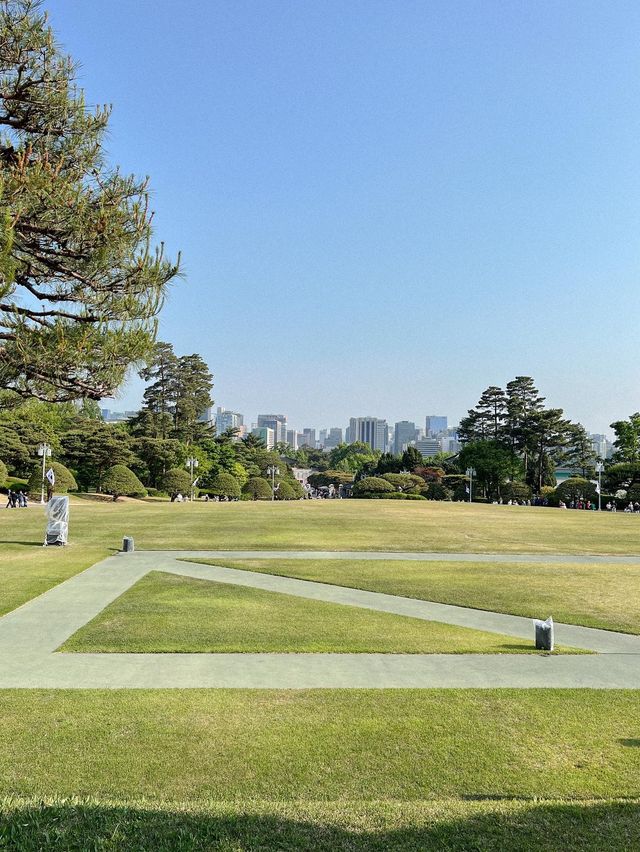 74년만에 국민에게 오픈된 청와대