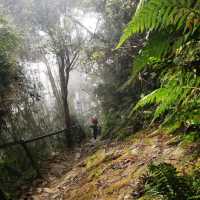 Kinabalu chick inn