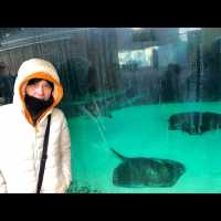 พามาเที่ยว New York Aquarium ค่ะ