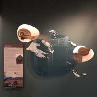 Melanesian display in the Museum