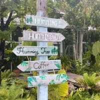 ☕คาเฟ่ที่ไม่ลับ มีมุมน้ำตกที่ให้เด็กลงเดินได้🏝