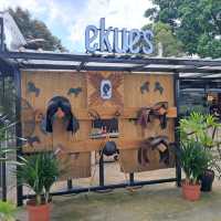 You will fall in love with this cafe❗️