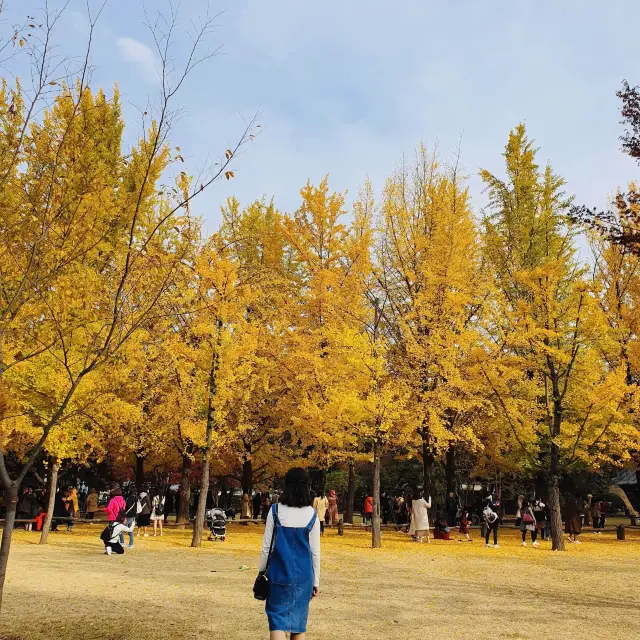 Nami island