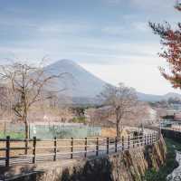 🗻SAIKO Iyashi no sato NENBA