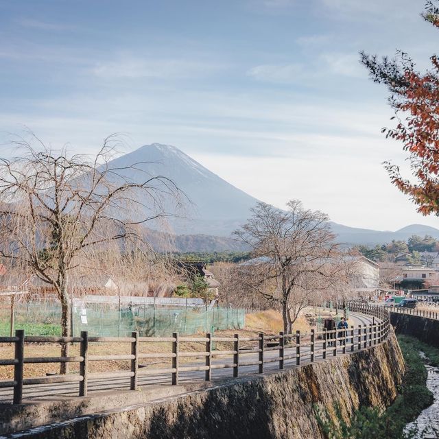 🗻SAIKO Iyashi no sato NENBA