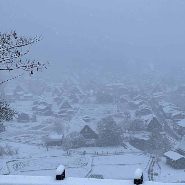Magical Winter Wonderland - Shirakawago 