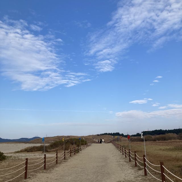바다 옆 모래언덕 신두리 해안사구 