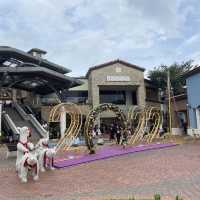 Year End Shopping at JPO