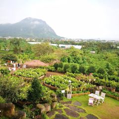 Manor Blanc User Photo