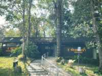 ลานดูเดือน อุทยานแห่งชาติดอยภูคา
