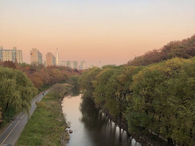 노을이 아름다운 양재천