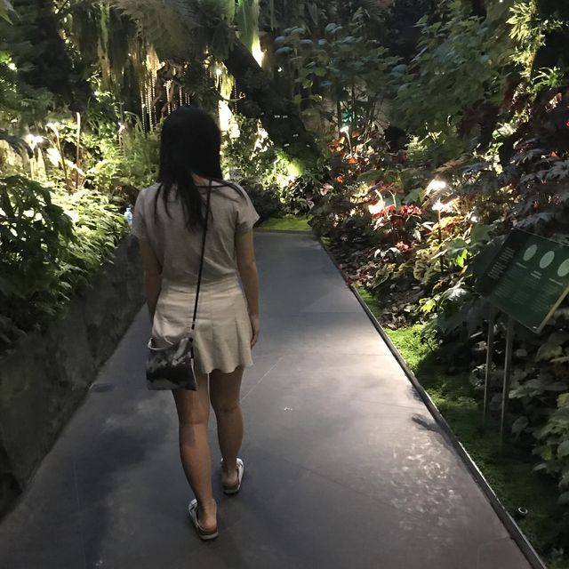 新加坡🇸🇬Marina Bay溫室🌸🌼花迷必去
