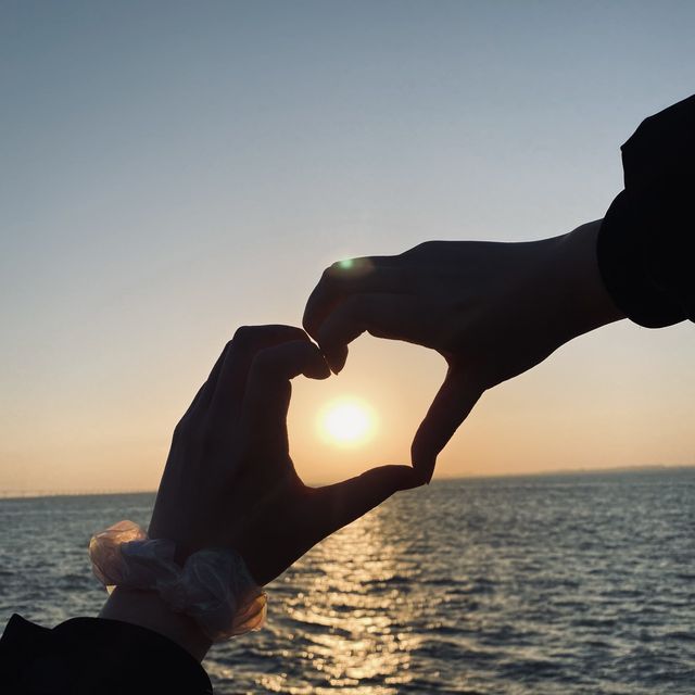 바다 속 노을 찾기 