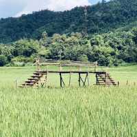 สะพานทุ่งนาแห่งร่องเขานครชุม