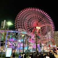 夜のよこはまコスモワールド