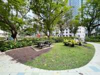 Greenery amidst the concrete jungle