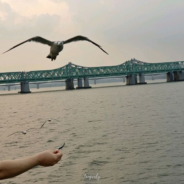 달빛노들 앞에서 인생샷 건져요:) 한강 피크닉